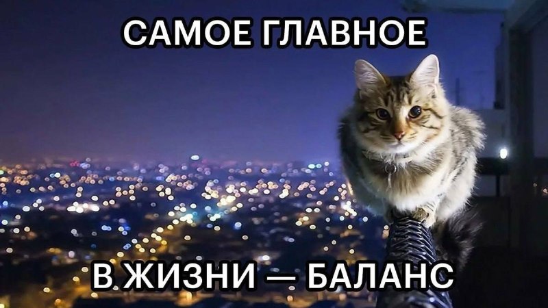 Джиган, когда перестрелял пол дома, а потом пошел читать молитвы