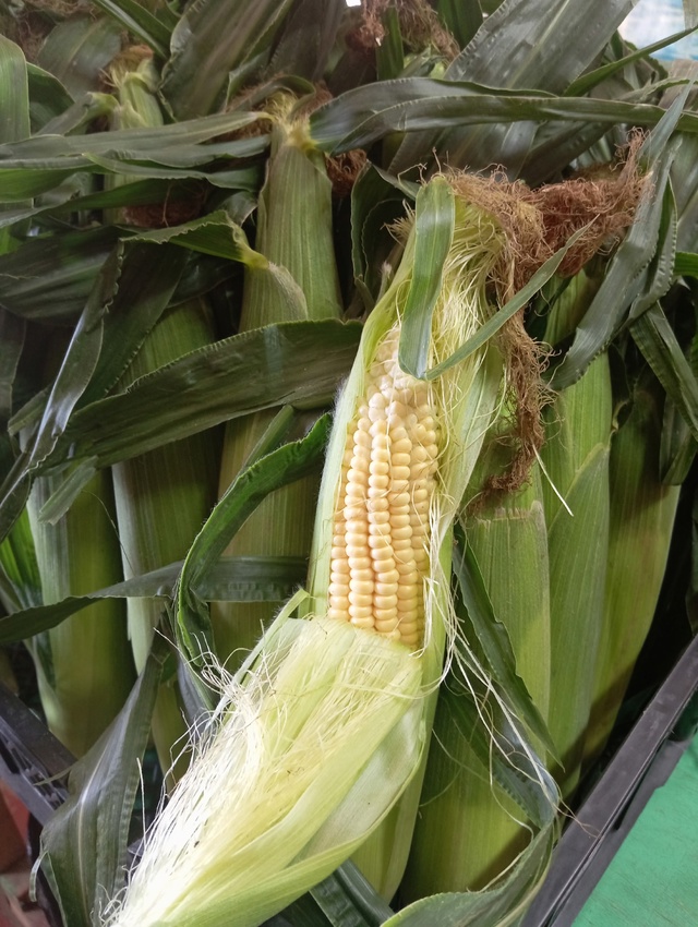🔥Предлагаем вашему вниманию продукцию местных бахче?...
