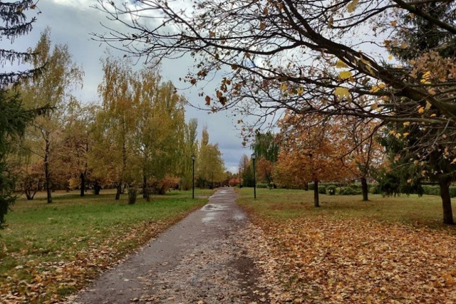 Центральную Россию по-прежнему укрывают поля фронталь...