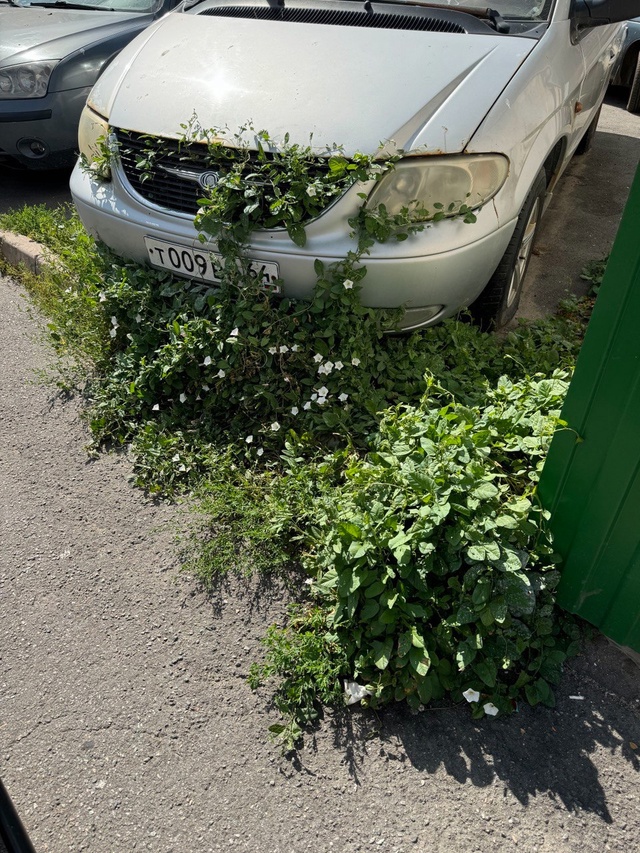 Кронштадт после зомбиапокалипсиса)