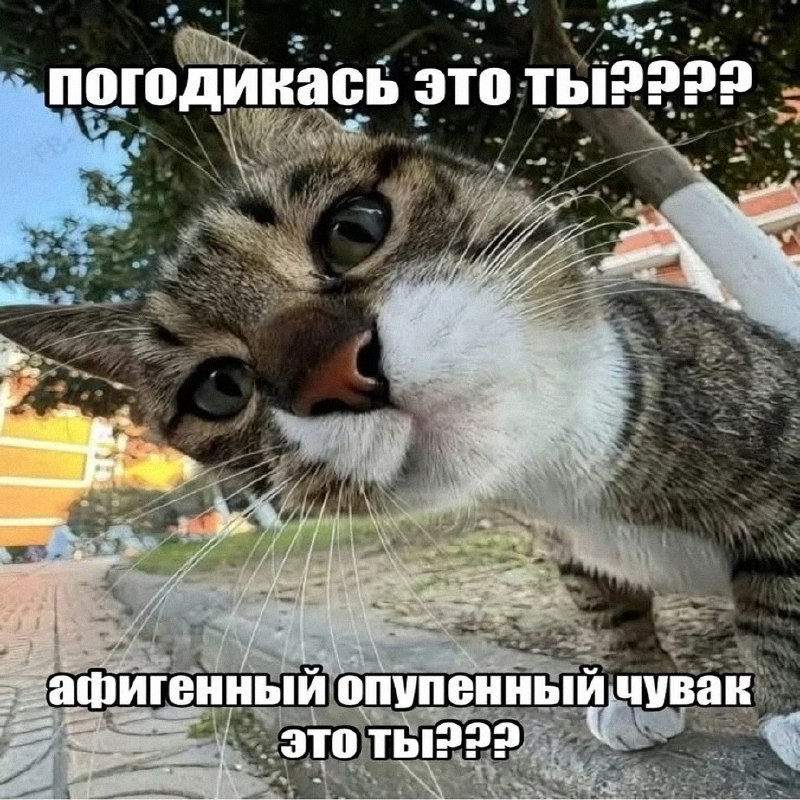 Утренняя подборочка
