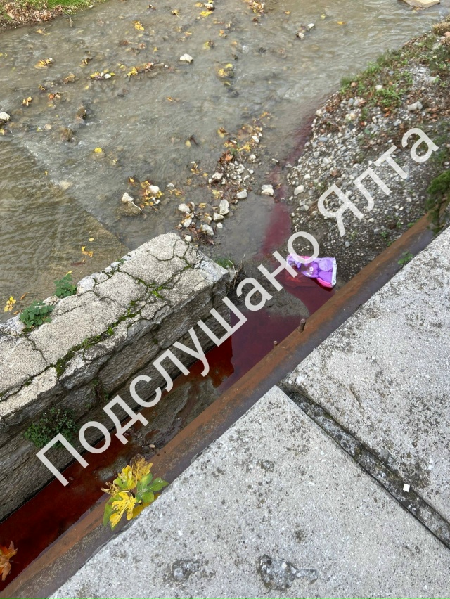 Возле Севастопольской 2А
2 дня назад была обнаружена..к?...