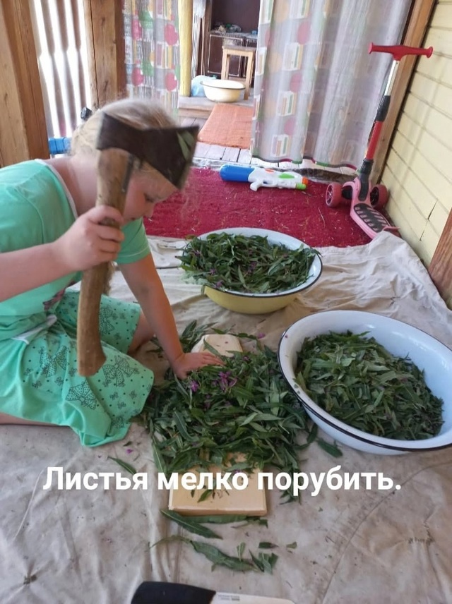 Приготовление Иван-чая,
он же Кипрейный, он же Копорски...