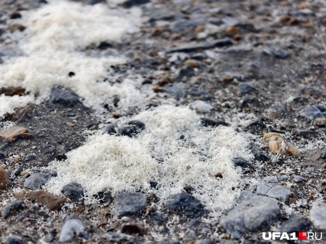 ⛄На севере Уфы выпал снег из опилок
«Опилкопад» случ?...