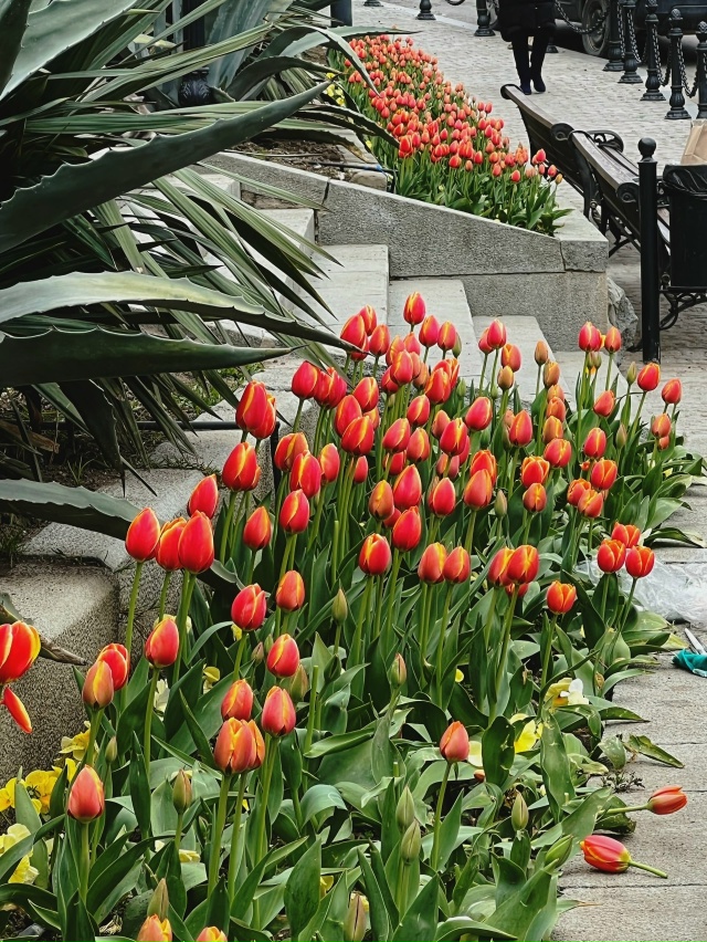 💎 Алупка - новая жемчужина Южного берега Крыма 🌷
Сотр...