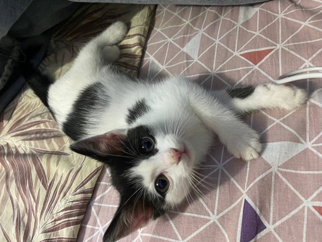 Ну что , поехали !?
Опять или снова , это уже решать вам ,...