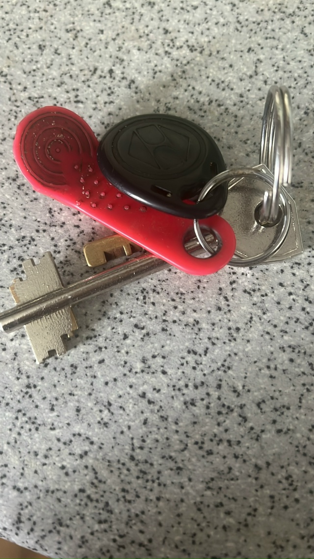 Кто потерял ключи в районе Комсомольской 225 ? Звоните т?...