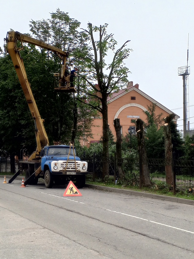 Работа кипит (( Последний островок зелени в центре горо...