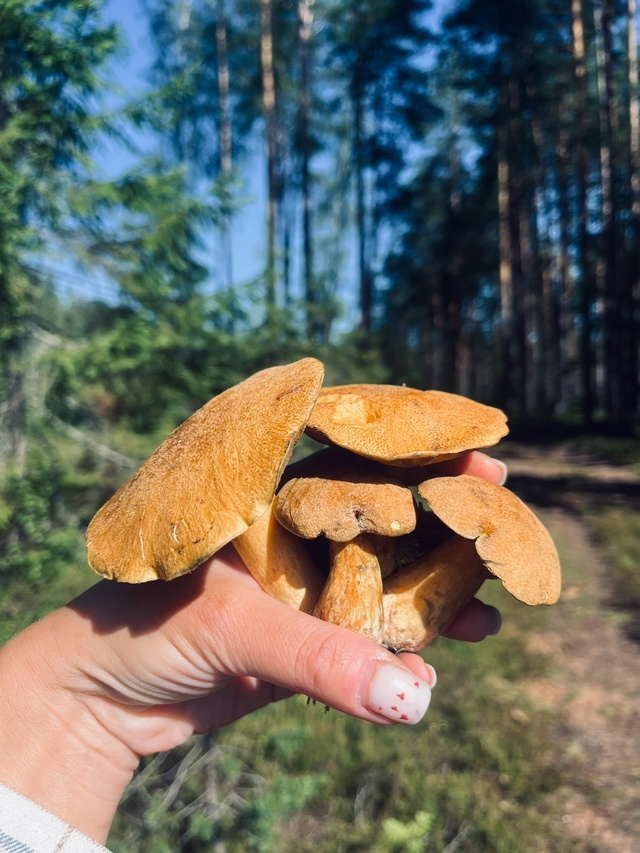 Делитель своими находками ❤