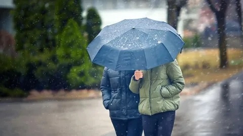 ❗️В Курской области 15 ноября ожидается мокрый снег
С?...