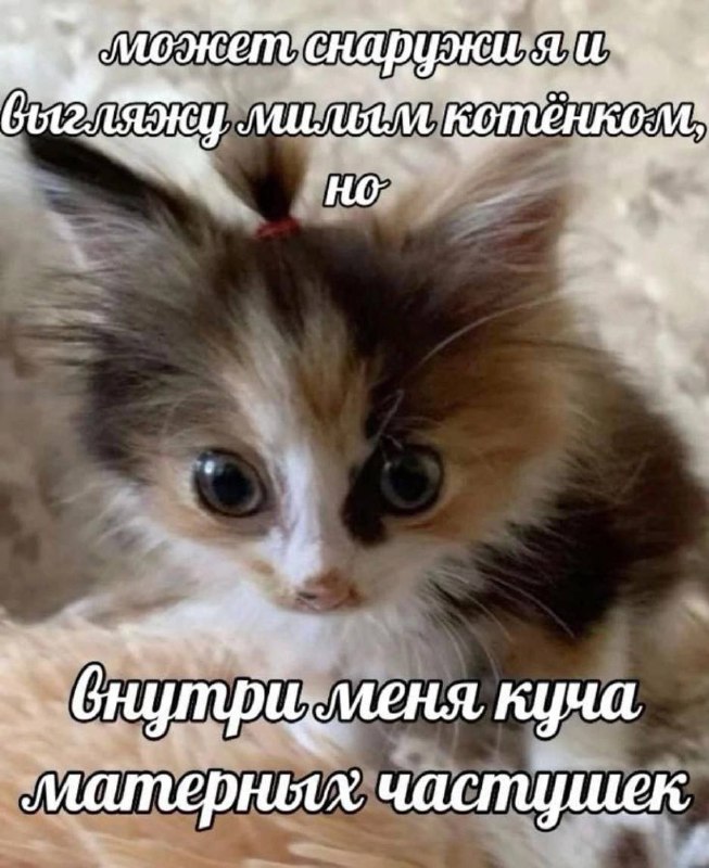 Утренняя подборочка