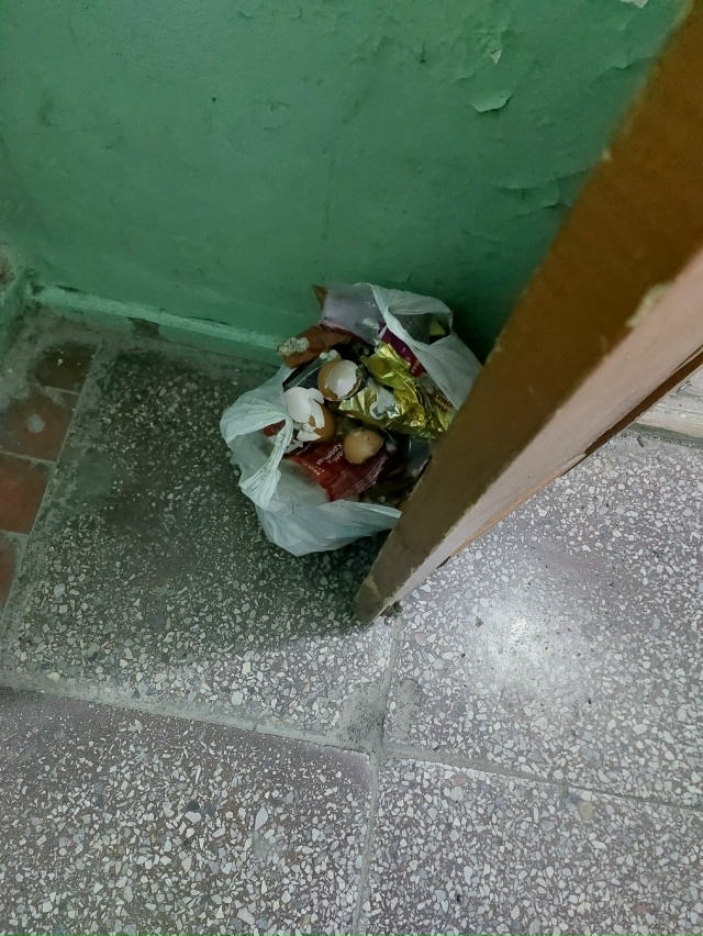 Машино-й д. 15, 1 подъезд, кто не донёс до мусорки. Совсем ?...