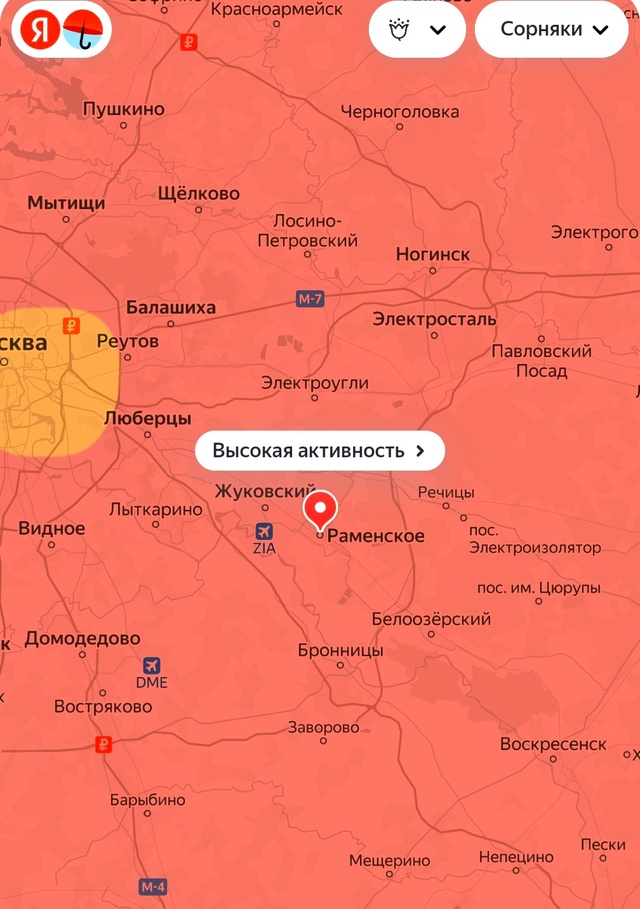 ❗️В Раменском— настоящий ад для аллергиков
Из-за жар...