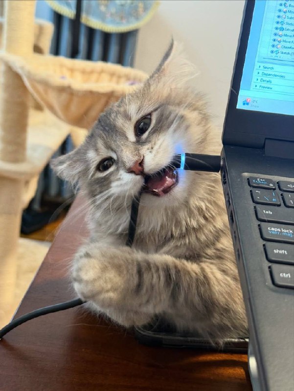 Мастер по ремонту нутбуков