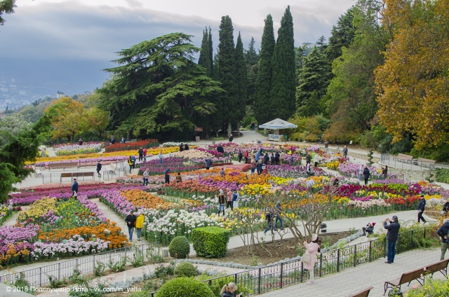 🎉 До открытия Бала хризантем 2025 остаётся ровно неделя...