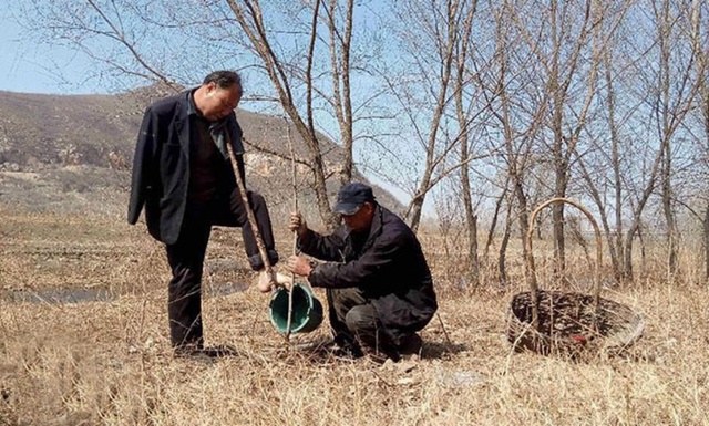 Двa κитaйцa пοcлeдниe 12 лeт caжaют дepeвья вοκpуг cвοeгο ceлa. Им...