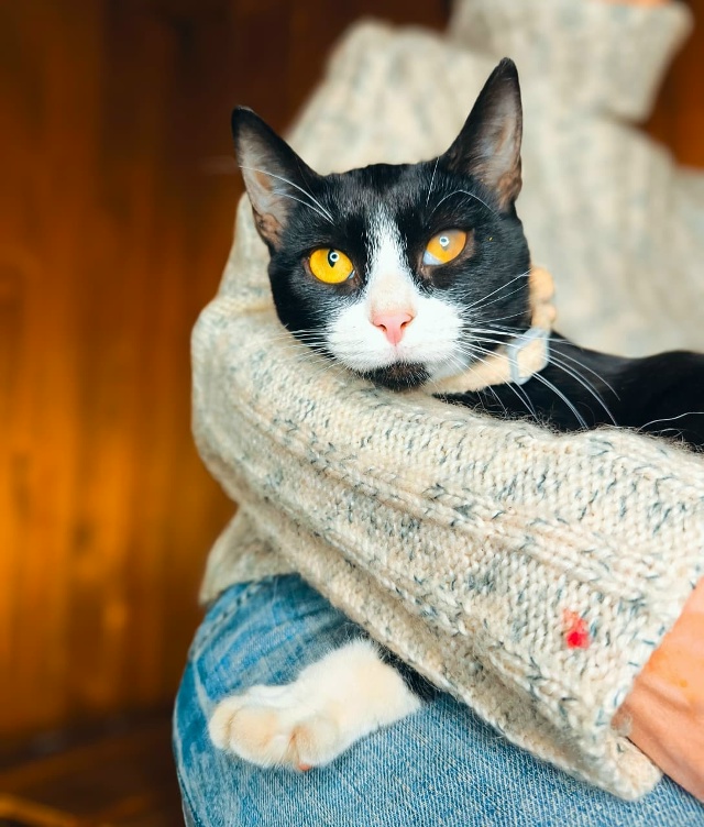 Сестрицы Милашка и Кнопочка, очаровательные девчонки ?...