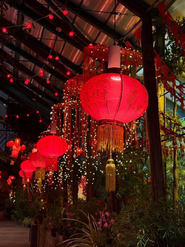 Ура, девочки: нашумевшие выставки в Аптекарском огороде ПРОДЛИЛИ!
Если ещё не ходили — то успевайте