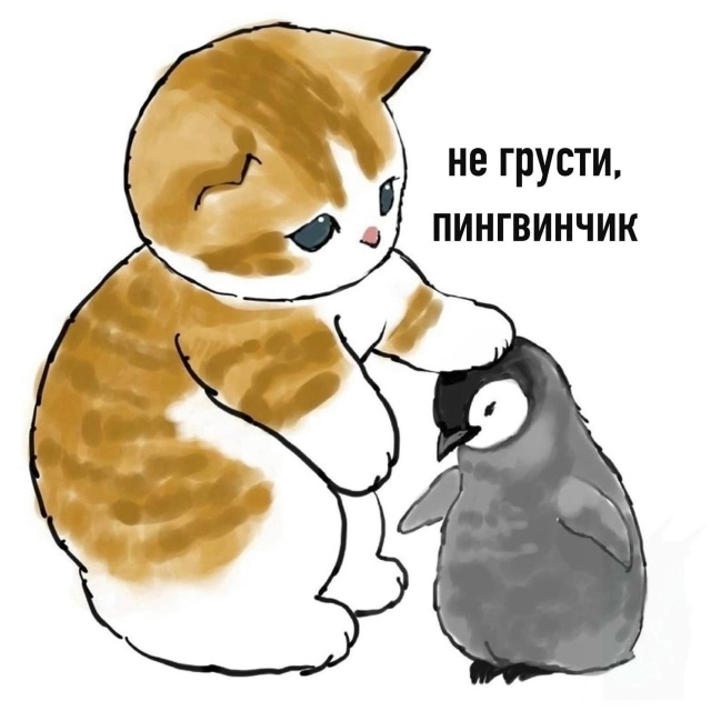 Минутка поддержки.