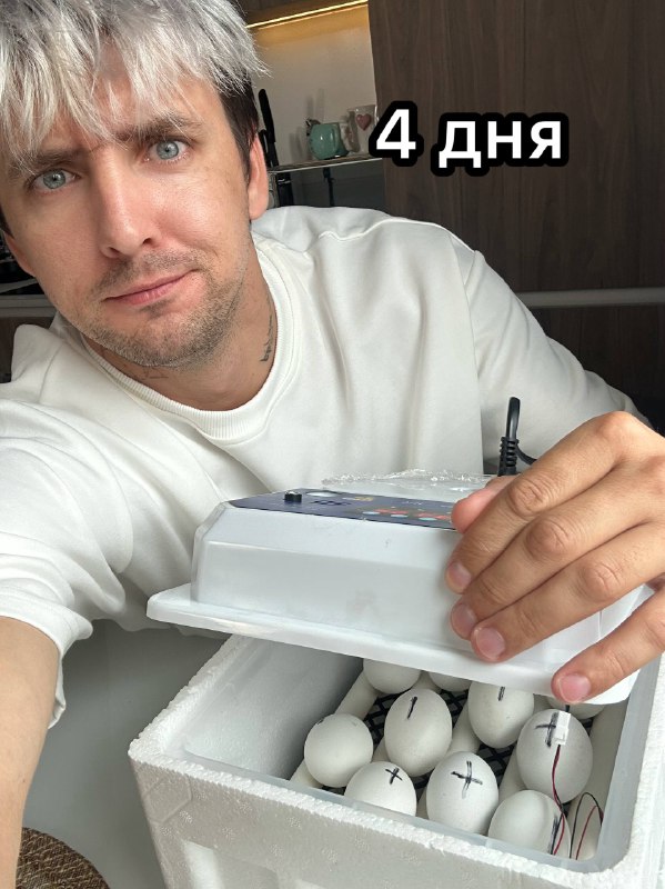 Ждём ?