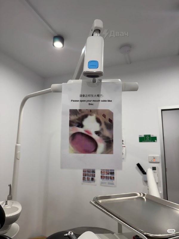 В китайской стоматологии повесили реально топовый гайд для пациентов
Там максимально понятно объясн