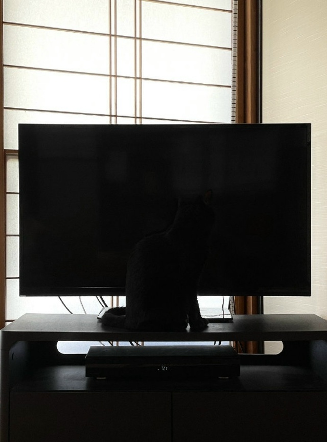 И тут телевизор моргнул)))