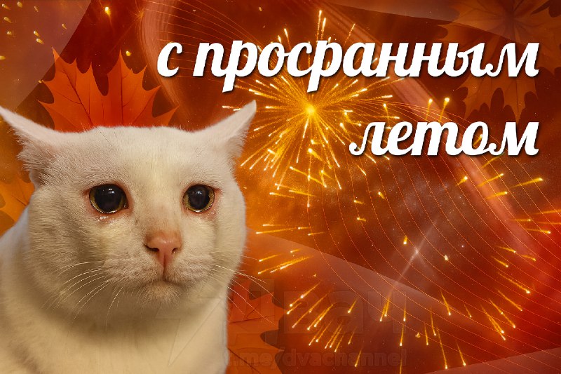 Сегодня отмечается День просранного лета
