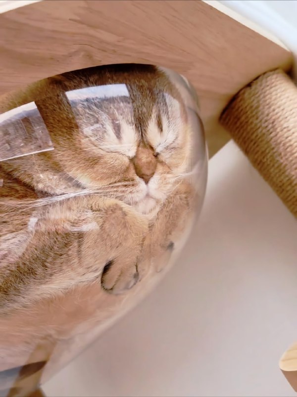 Как выглядят макароны, которые простояли трое суток на дне кастрюли в холодильнике