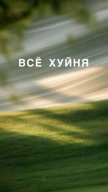 Ловите топовые обои на мобилу — с ними будет проще вывезти даже самые тяжёлые дни
Сохраняем и испол