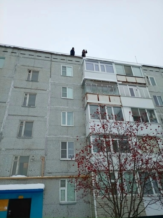 В первые дни календарной зимы погода испытывала нас на...