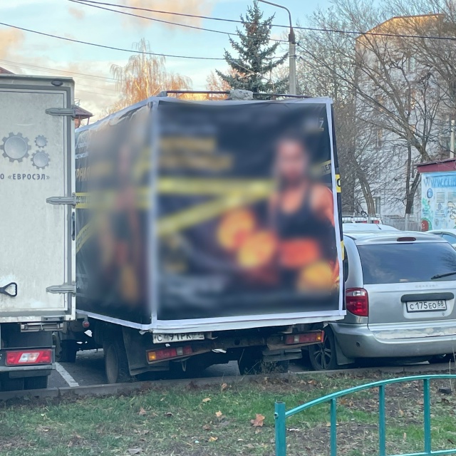 Сегодня утром гуляла с собакой и заметила несколько ст...