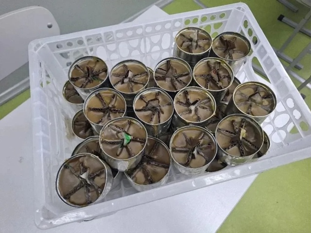 В рамках празднования Дня отца обучающиеся 3