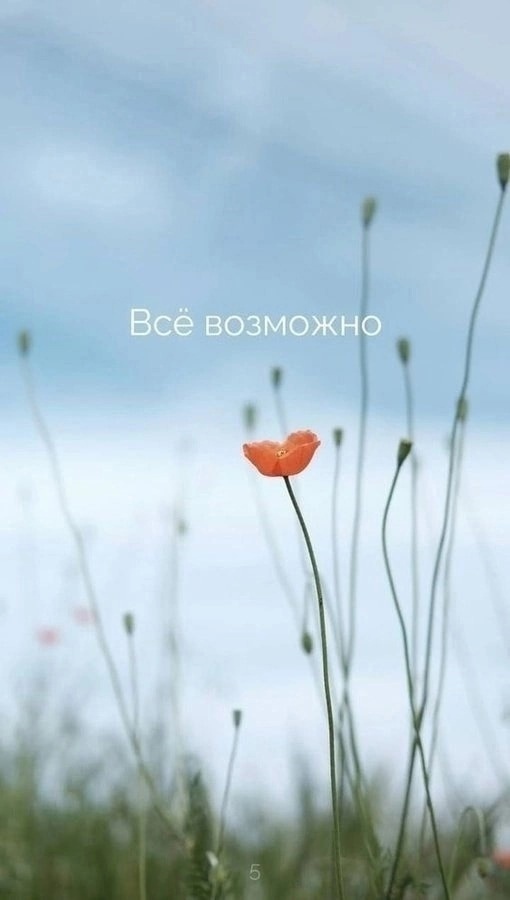 Маленькие, но важные напоминание