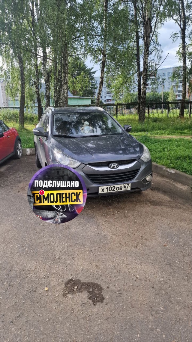 👉Очередная яжемать в Смоленске
На Королевке ежеднев?...