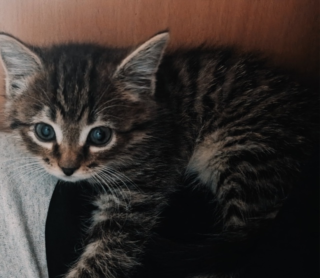 Лекса❤️🥺 месяц и 4 недельки 🥺🥰