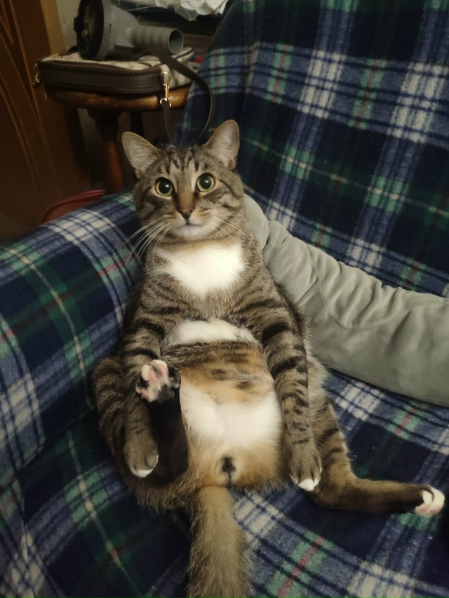 #Мотя когда пожрал две порции