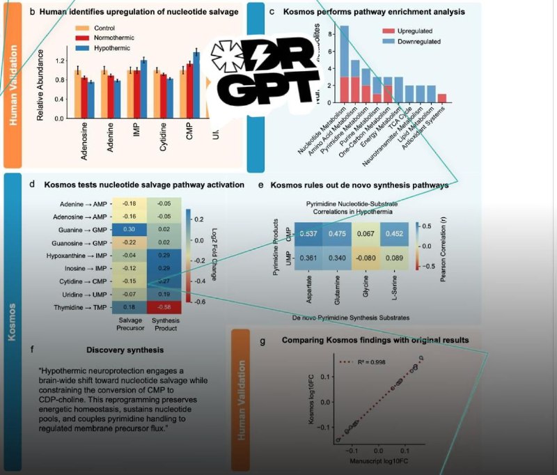 ✔️ИИ-агент сделал 7 научных открытий за 12 часов
Агент Kosmos провёл настоящий блиц-ресёрч:
— Прочи