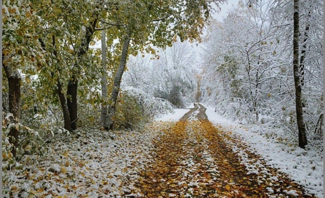 🔥❌🌲
Осенний пожароопасный сезон официально объявл?...