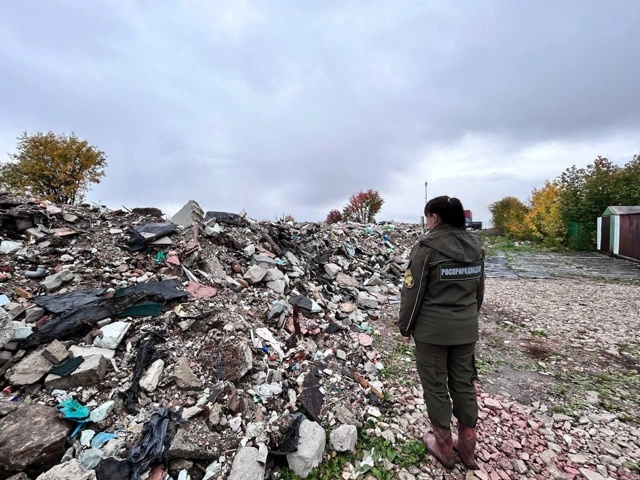 В Перми есть свалки из камней и даже машин. Росприродна...