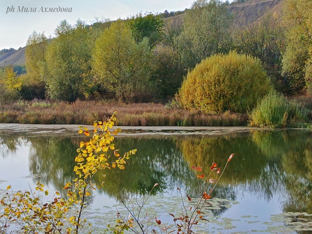Одно из многочисленных озёр на Федоровских лугах, Комс...