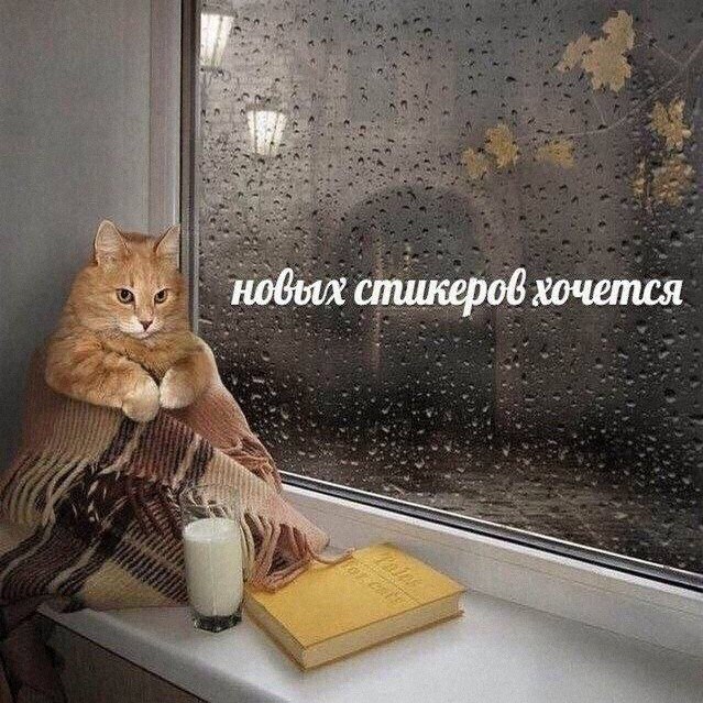 Утренняя подборочка