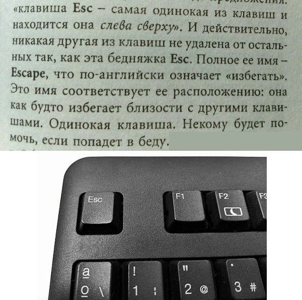 Утренняя подборочка