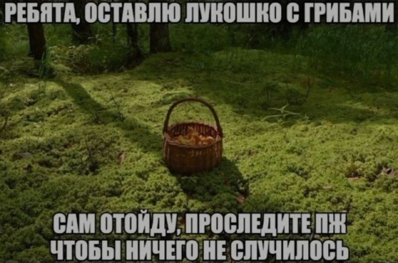 Ночная подборочка
Спать, режим