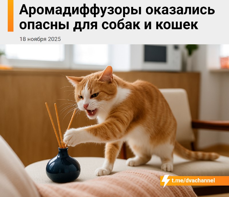 ❗️Аромадиффузоры опасны для собак и кошек, предупредили ветеринары
По словам специалистов, масла из