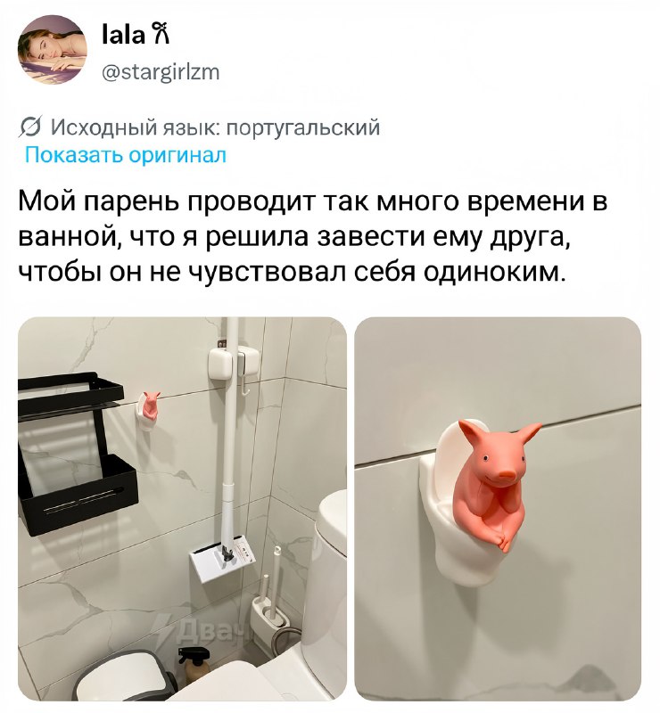 Соцсети разорвал поросёнок-компаньон, который будет сидеть вместе с вами на белом троне
На маркетпл