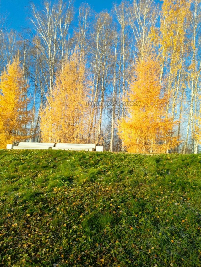 Тёплый осенний день в Салавате ☀