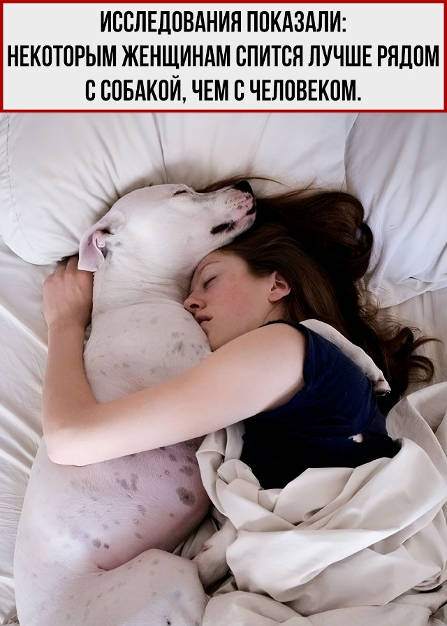 И одеяло не перетягивает.