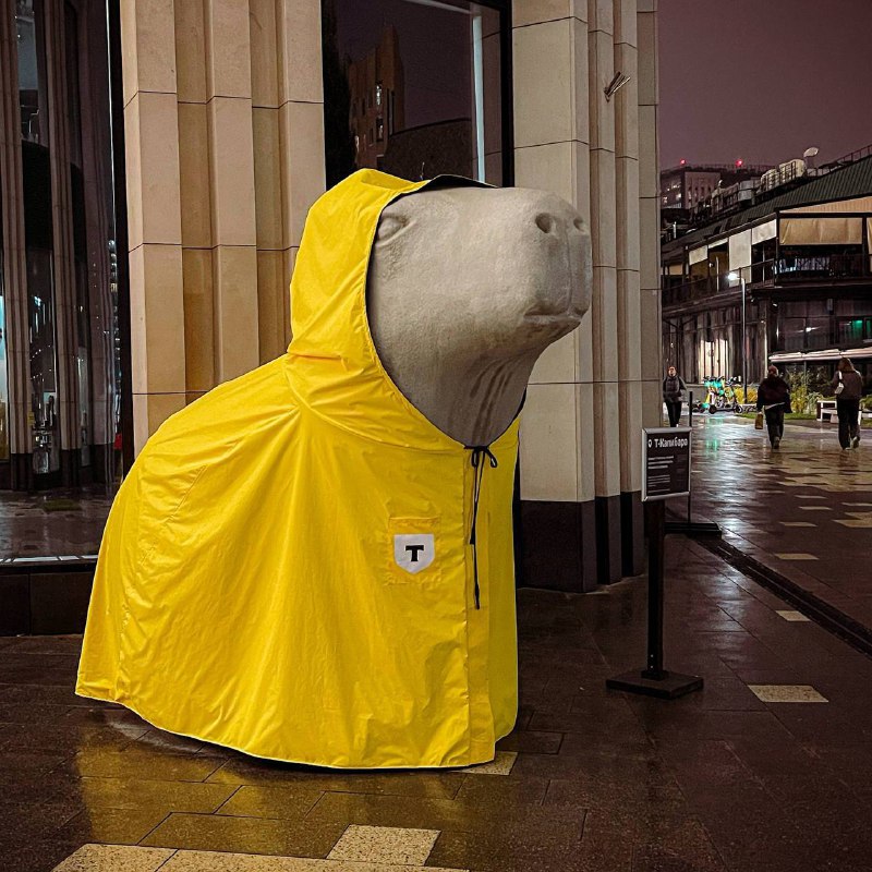 ? У капибары у штаб-квартиры Т-Банка на Белорусской не было зонтика, поэтому её укрыли дождевиком
С