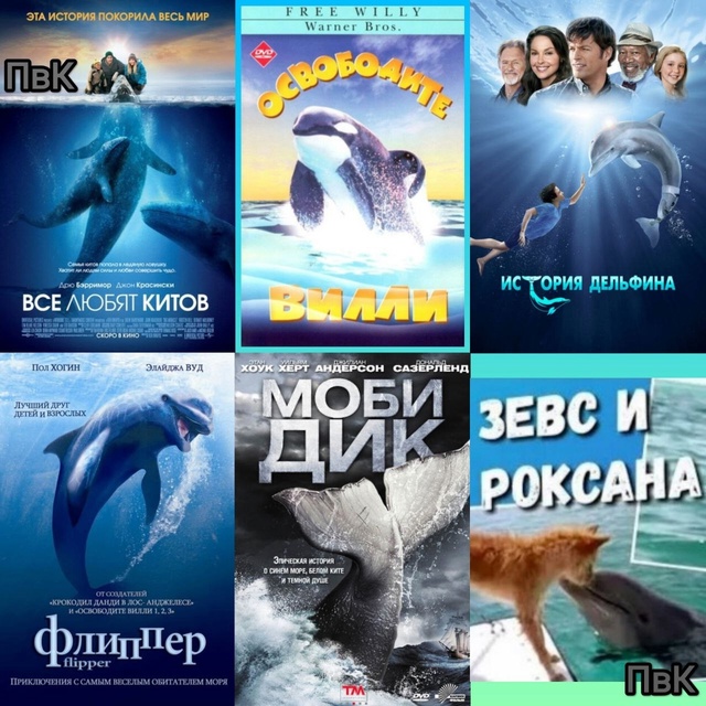 Ежегодно 23 июля отмечается Всемирный день китов и дель...