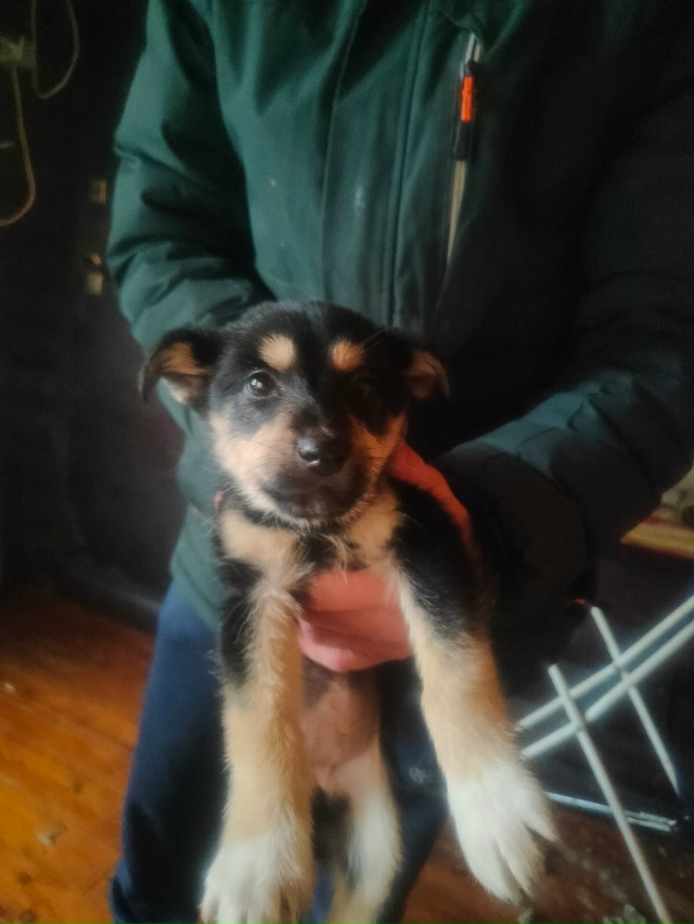 Пост шанс 🤞🏼‼️
Благодаря предыдущему посту пристро...